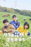 丁香花高清完整版观看完